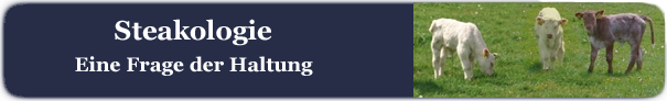 Eine Frage der Haltung